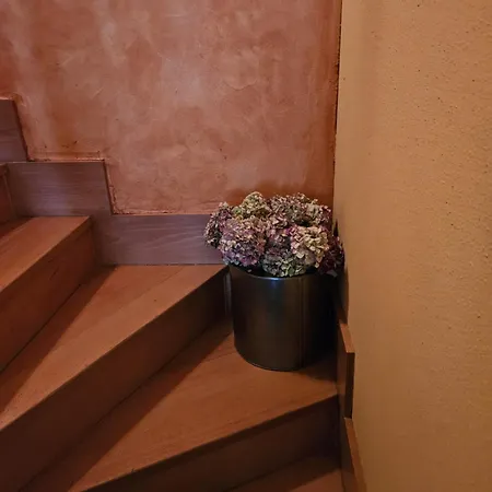 Duplex Casa Camino